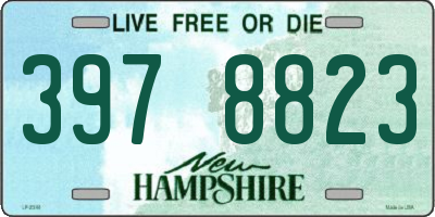 NH license plate 3978823