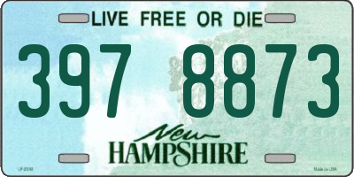 NH license plate 3978873