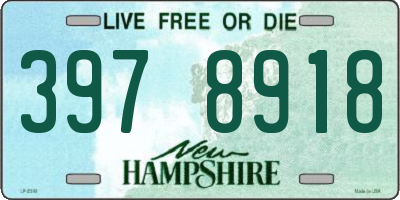 NH license plate 3978918