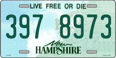 NH license plate 3978973