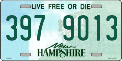 NH license plate 3979013