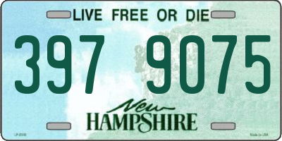 NH license plate 3979075