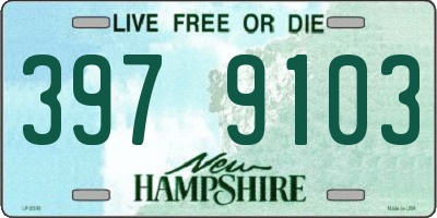 NH license plate 3979103