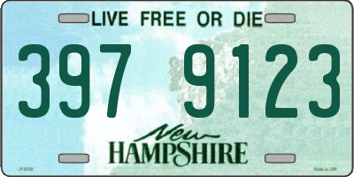 NH license plate 3979123