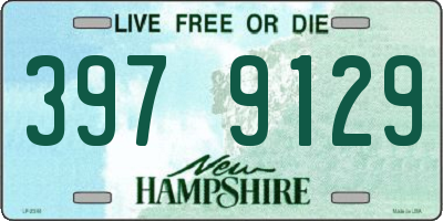 NH license plate 3979129