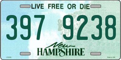 NH license plate 3979238