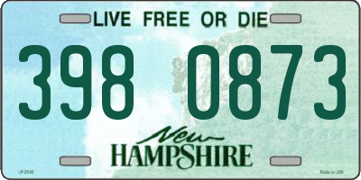 NH license plate 3980873