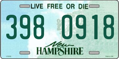 NH license plate 3980918