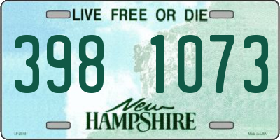 NH license plate 3981073