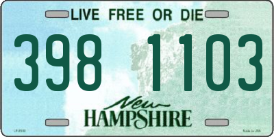 NH license plate 3981103