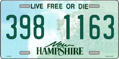 NH license plate 3981163