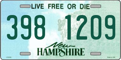 NH license plate 3981209