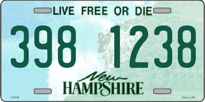 NH license plate 3981238