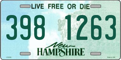 NH license plate 3981263