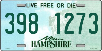 NH license plate 3981273