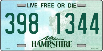 NH license plate 3981344