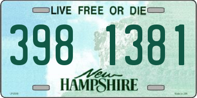 NH license plate 3981381