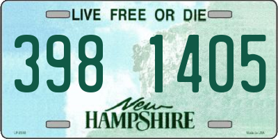 NH license plate 3981405