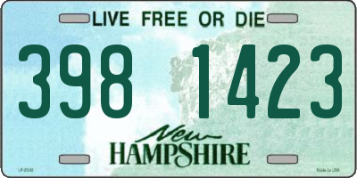 NH license plate 3981423