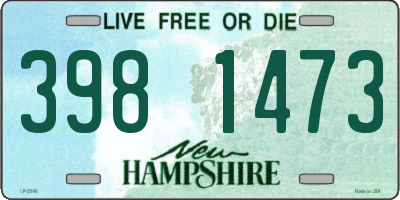 NH license plate 3981473