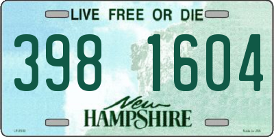 NH license plate 3981604