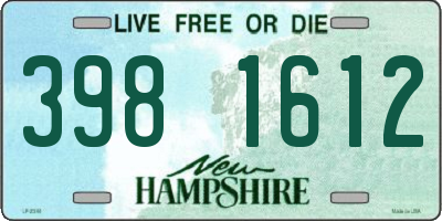 NH license plate 3981612