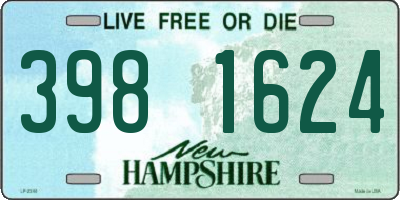 NH license plate 3981624