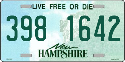 NH license plate 3981642