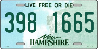 NH license plate 3981665
