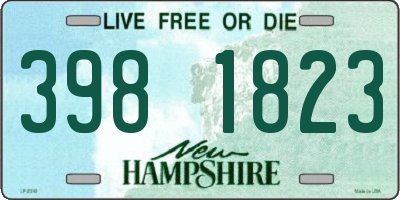 NH license plate 3981823