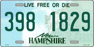 NH license plate 3981829