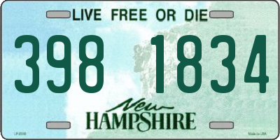 NH license plate 3981834