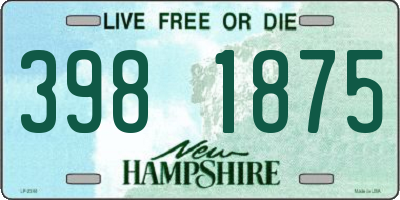 NH license plate 3981875