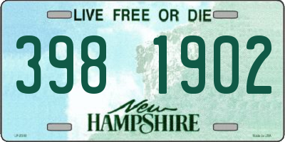 NH license plate 3981902