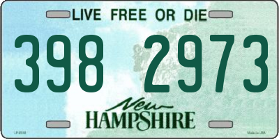 NH license plate 3982973