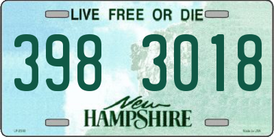 NH license plate 3983018