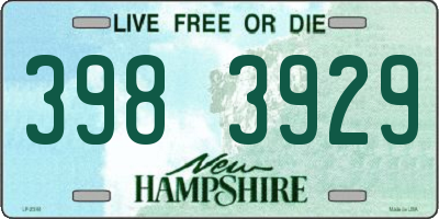 NH license plate 3983929