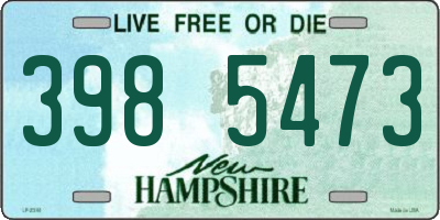 NH license plate 3985473