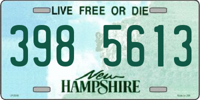 NH license plate 3985613