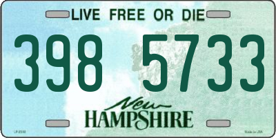NH license plate 3985733