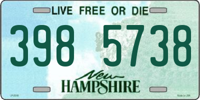 NH license plate 3985738