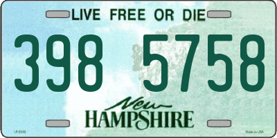 NH license plate 3985758