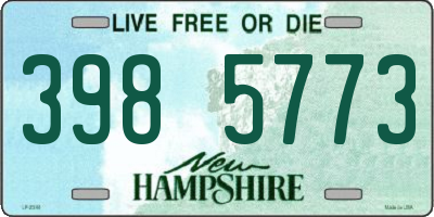 NH license plate 3985773