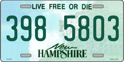 NH license plate 3985803