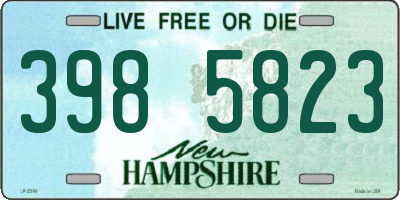 NH license plate 3985823