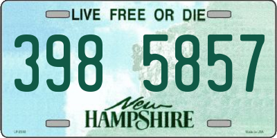 NH license plate 3985857
