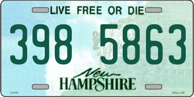 NH license plate 3985863