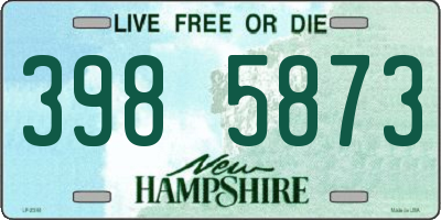 NH license plate 3985873
