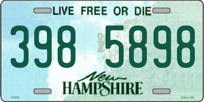 NH license plate 3985898