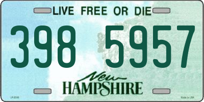 NH license plate 3985957